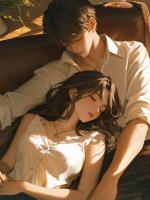 暮雪昭昭照流年