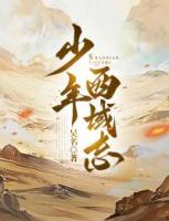 少年西域志