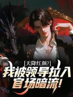 天降红颜？我被领导拉入官场暗流！