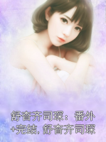 舒杳齐司琛：番外+完结,舒杳齐司琛