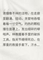 爱火燎原：失忆后仇人叫我姐姐