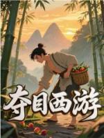 夺目西游