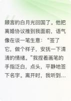 老公说假离婚，我假戏真做