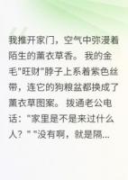 薰衣草香里的背叛