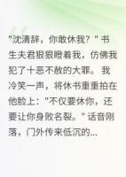 萧王爷，当初是你要分开