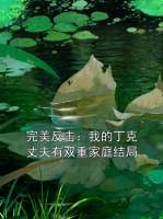 完美反击：我的丁克丈夫有双重家庭结局
