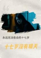 十七岁没有晴天