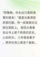 前夫跪求复合时我已是总裁