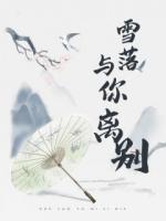 雪落与你离别
