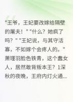 傻妻改嫁后，将军后悔了