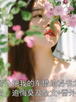 老公把我的车借给秘书之后，追悔莫及全文+番外