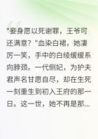 梦回前朝，王爷可曾记得