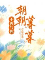 不再与你朝朝暮暮