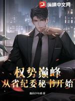 权势巅峰：从省纪委秘书开始