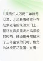 锦衣之下:雪霁桃生，共守长安