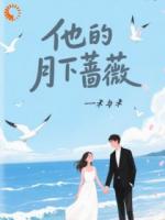 驯服与反驯服：霸总的追妻路