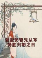 谢延安替兄从军得胜归朝之日