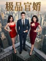 极品官婿