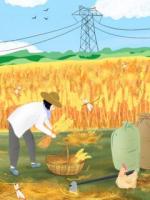 重生在妻子自杀那天