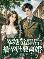 军嫂觉醒后，揣孕肚要离婚！