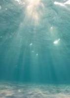 格桑不渡故人归