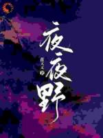 夜夜野