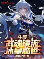 斗罗：武魂镜流，冰皇临世