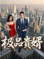 极品贵婿