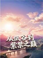 从低谷到紫禁之巅