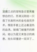 总裁的舌尖上沾了猫毛