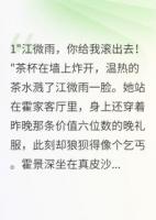 三年替身，我选择抽身退场