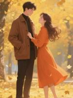 我给岳母买的养老别墅，成了妻子的后宫