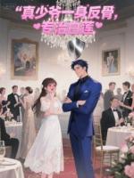 真少爷一身反骨，专治白莲