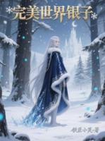 完美世界银子