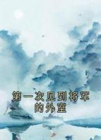 第一次见到将军的外室