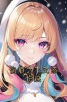 伤痕之下又添伤痕