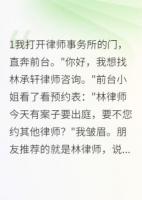 律师先生请帮我找个前夫