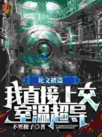 论文被盗，我直接上交室温超导