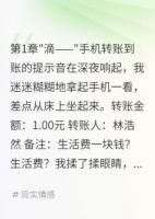 发现转账记录后我让渣夫牢底坐穿