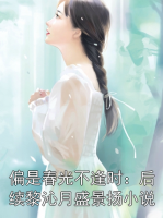 偏是春光不逢时：后续黎沁月盛景扬小说