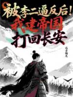 被李二逼反后，我建帝国打回长安