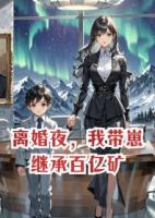 离婚夜，我带崽继承百亿矿