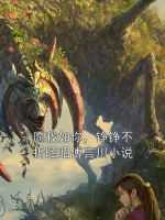 愿我如你，铮铮不折昭昭傅言川小说