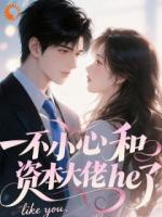 一不小心和资本大佬he了