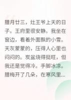 王爷追妻火葬场，王妃她改嫁了