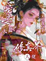 负心汉别跑！请试试我的斩渣剑