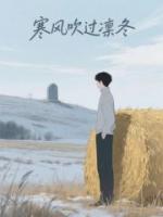寒风吹过凛冬