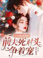 宁小姐离婚后，前夫死对头争着宠