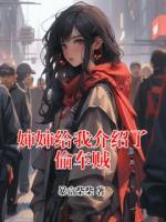 婶婶给我介绍了偷车贼