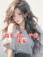 微光寻踪，沪海迷雾